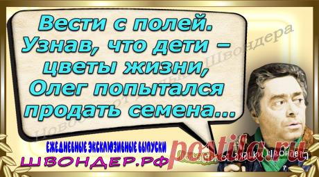 Новости от дядьки Швондера, классный анекдот, смешная фраза, веселая фенечка, каламбур, афоризмы, смех, забавные картинки, сложный юмор, непонятные анекдоты, цитаты из интернета, мэмчик, развлечение, Швондер говорит, Шариков, Собачье сердце, улыбка до ушей, веселый сайт, забава, смешарик, мем, потеха, картинка со смыслом, фарс, наколка, мемасик, шутка, юмор, анекдоты в картинках, юмор в картинках, свежие приколы, Швондер, смешная фишка, улыбка, интересное в сети, смех, швондер.рф, #швондер.рф