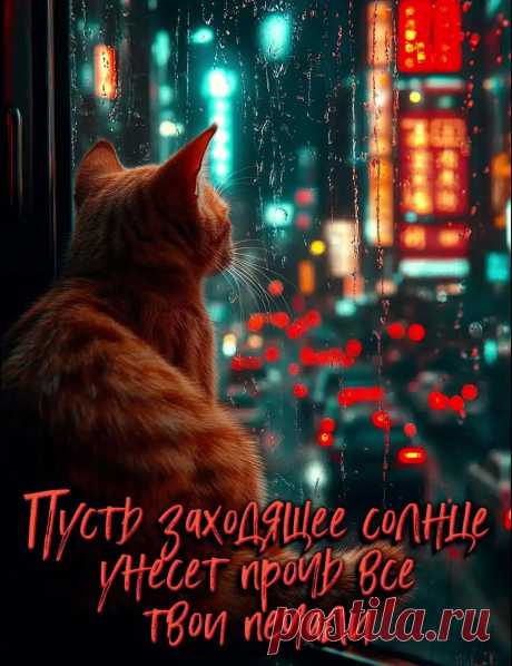 Картинка добры вечер, дождь за окном