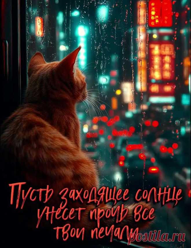 Картинка добры вечер, дождь за окном