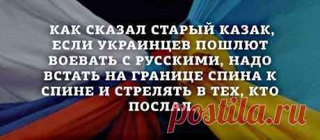 (3) Одноклассники