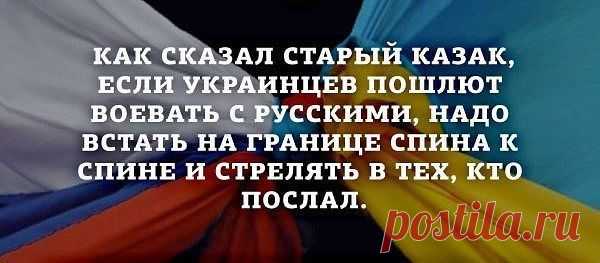 (3) Одноклассники