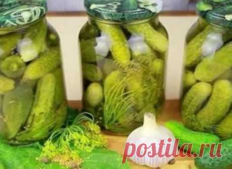 Огурцы на зиму - DietDo.ru - 1