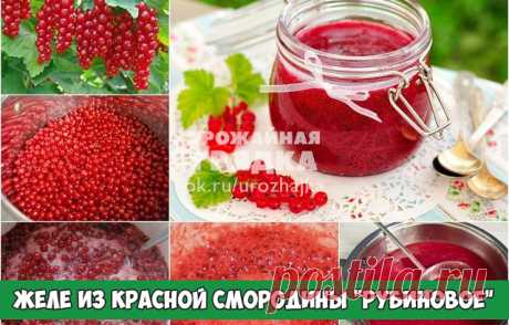 Желе из красной смородины "рубиновое"

Очень вкусный рецепт домашнего желе на зиму.
Ингредиенты:
- 1 кг красной смородины (спелой),
- 1 кг сахара,
- 200 г воды.
Приготовление:
1. Красную смородину перебрать, удалить веточки и листики. Хорошо промыть в приточной воде (удобнее делать это через дуршлаг).
2. В емкость для варки влить воду и всыпать смородину. Отварить в течение 10 минут на среднем огне.
3. Протереть через сито ягоды. Жмых можно использовать для других блюд.
4....