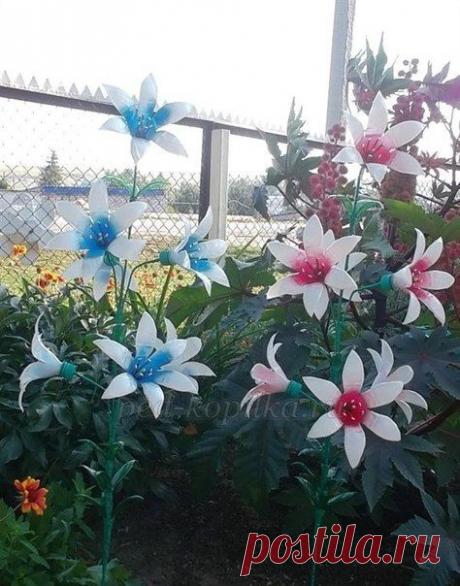Morskay10. Творческие фантазии: Украшаем сад цветами из пластиковых бутылок. Мастер-класс