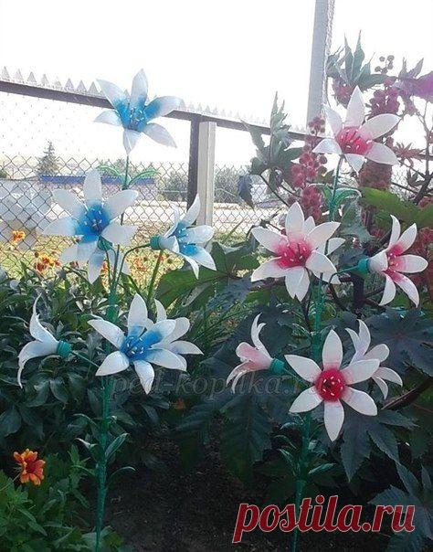 Morskay10. Творческие фантазии: Украшаем сад цветами из пластиковых бутылок. Мастер-класс