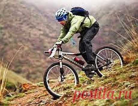 За здоровьем — на велосипеде | Друг пенсионера
Речь в статье пойдет об очищении сердечно-со­судистой системы и профилактике инсульта настоями чеснока с лимоном и семени укропа с корнем валерианы.