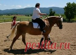 Реабилитации от инсульта помогают езда верхом и музыка 
Согласно новым исследованиям австралийских специалистов эффективному
восстановлению от инсульта способствуют программы, включающие верховую езду и
музыкальную терапию.
У пациентов наблюдается улучшен…