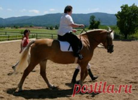 Реабилитации от инсульта помогают езда верхом и музыка 
Согласно новым исследованиям австралийских специалистов эффективному
восстановлению от инсульта способствуют программы, включающие верховую езду и
музыкальную терапию.
У пациентов наблюдается улучшен…