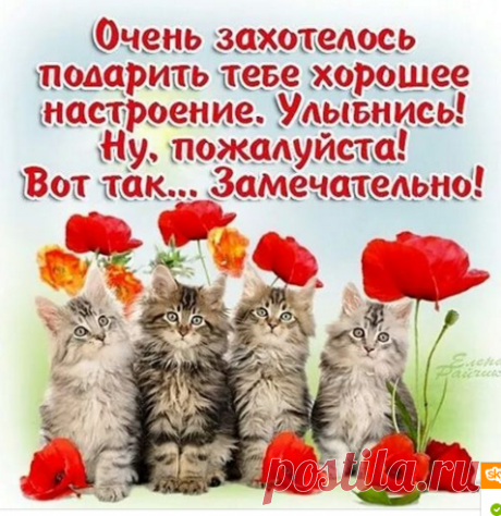 Плейкаст «ПЕСНЯ ПРО НАСТОЯЩИХ ДРУЗЕЙ»