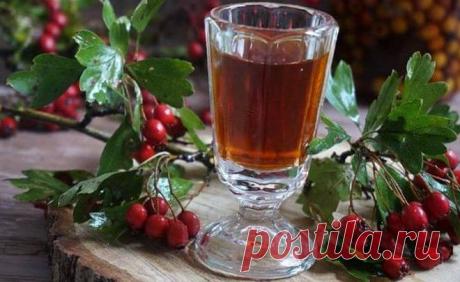 Вино из боярышника - простой рецепт