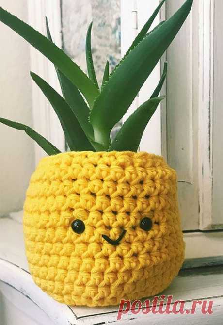 Идеальный горшочек для Алоэ:)