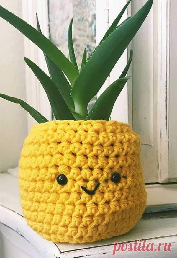 Идеальный горшочек для Алоэ:)