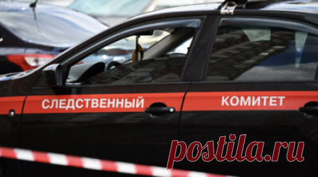 Родители пропавших в Туве девочек опознали их тела. Родители пропавших в Туве двух девочек опознали их тела, сообщили в СУ СК России по региону. Читать далее