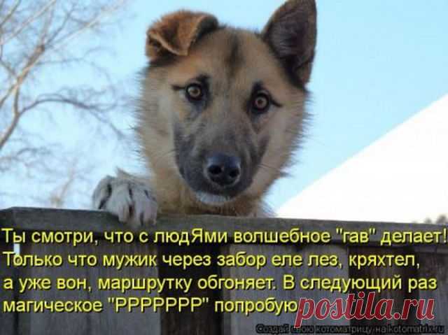 КАКОЙ Я ГРОЗНЫЙ