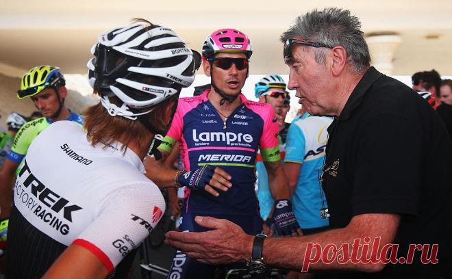 Лучший гонщик XX века упал с велосипеда и получил перелом бедра. Легенда велоспорта Эдди Меркс ехал с компанией на велосипеде в окрестностях бельгийского Мехелена и упал. Ему предстоит операция на травмированном бедре