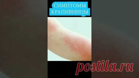 Яндекс Картинки: поиск похожих изображений