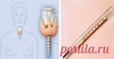 Чтобы проверить щитовидку, вам нужен только градусник! | Милая Я Наука знает про этот метод уже 50 лет. Мало кто об этом знает, но еще 50 лет назад ученый Брода Отто Барнс обнаружил, что температура тела — отличный индикатор того, как работает ваша щитовидная железа. Есть только один нюанс: температуру тела нужно мерять сразу после пробуждения, еще в кровати. Барнс заметил, что ненормальная температура по утрам — первый признак воспалительного процесса в щитовидной железе....