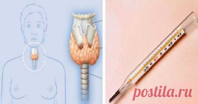 Чтобы проверить щитовидку, вам нужен только градусник! | Милая Я Наука знает про этот метод уже 50 лет. Мало кто об этом знает, но еще 50 лет назад ученый Брода Отто Барнс обнаружил, что температура тела — отличный индикатор того, как работает ваша щитовидная железа. Есть только один нюанс: температуру тела нужно мерять сразу после пробуждения, еще в кровати. Барнс заметил, что ненормальная температура по утрам — первый признак воспалительного процесса в щитовидной железе....