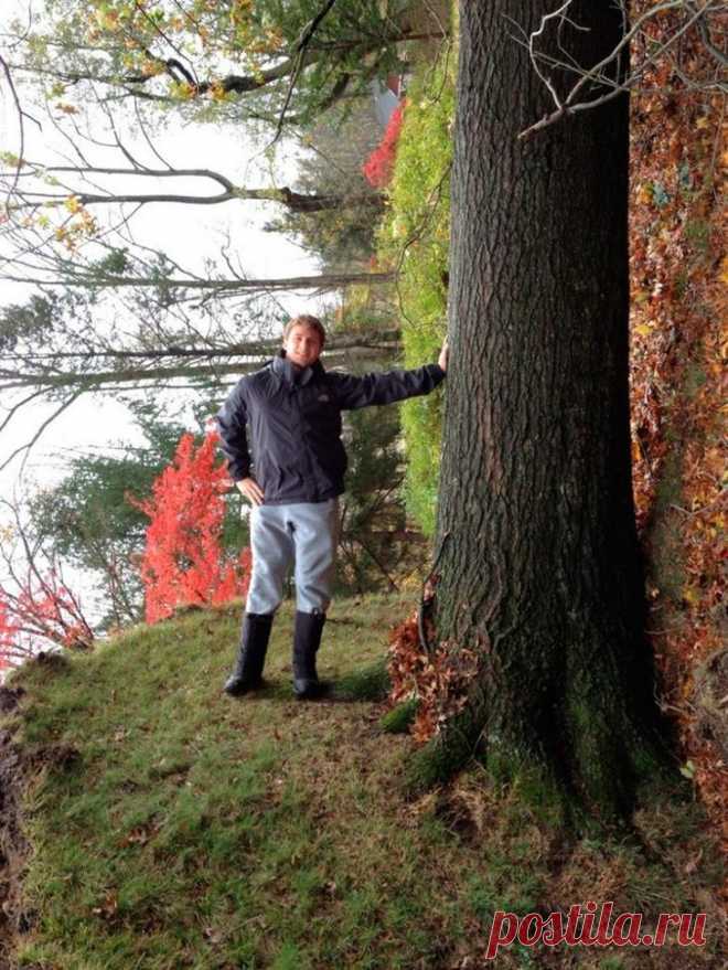 Такая прикольная физика