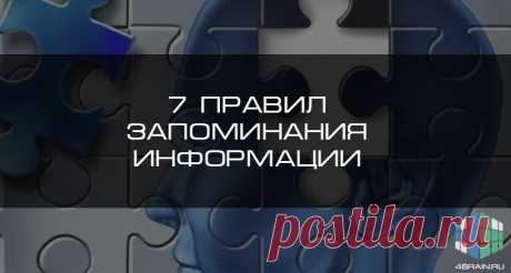 7 правил запоминания информации | Блог 4brain