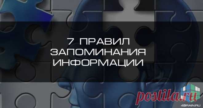 7 правил запоминания информации | Блог 4brain