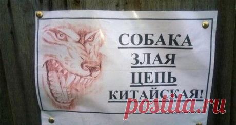 Таблички про злых собак / Приколы