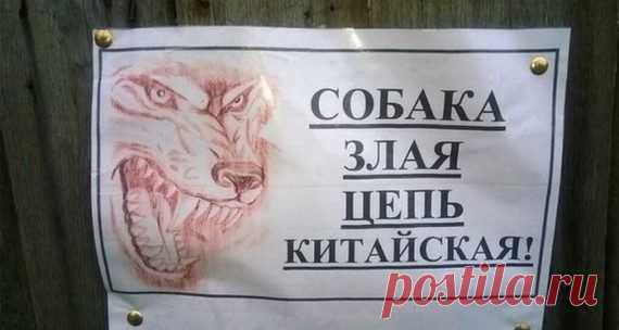 Таблички про злых собак / Приколы