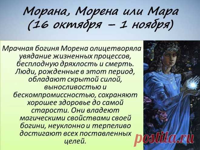 кто такой притаившийся лют по славянскому календарю: 11 тыс изображений найдено в Яндекс.Картинках