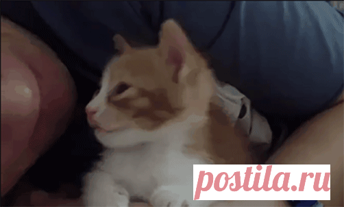 Усыпляющие целовашки 😴Всем сладких снов!!!