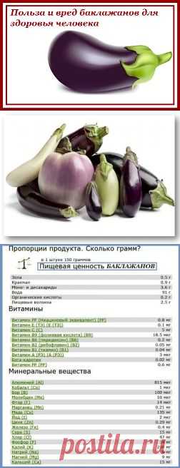 Польза и вред баклажанов
