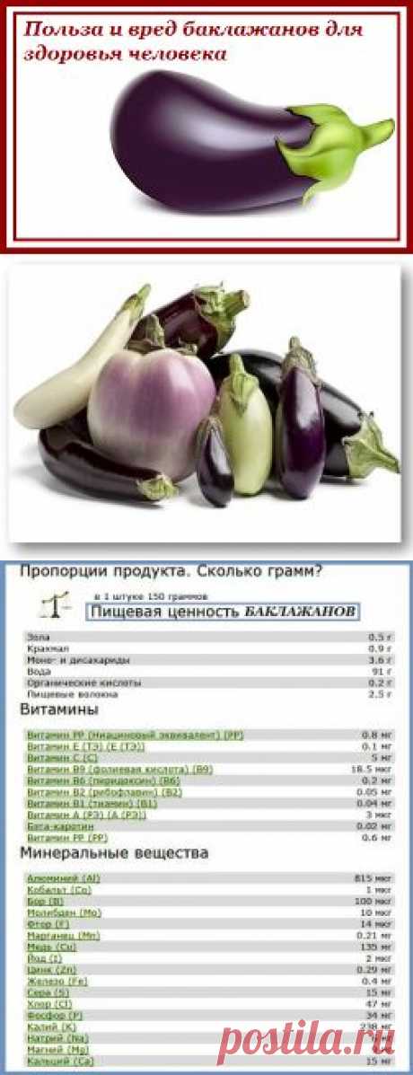 Польза и вред баклажанов