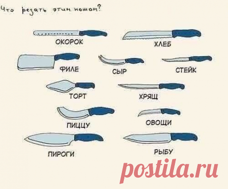 Фотографии на стене сообщества | 32 767 фотографий