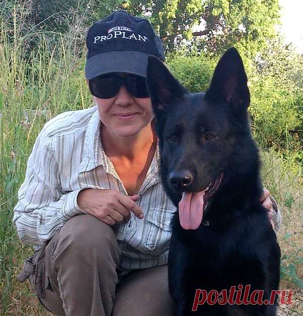 Мы с Вайзе (ей два годика) на День кинолога, 21 июня 2015 года.