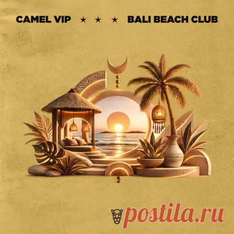 VA - Camel VIP / Bali Beach Club CVIP977 » MinimalFreaks.co