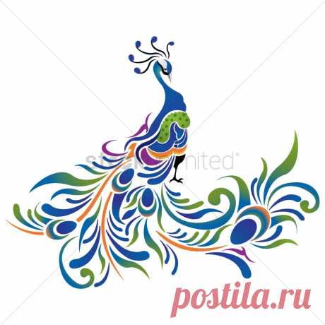 pavo real ilustración - Поиск в Google