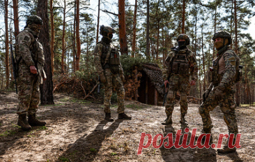 В Вологде в финал проекта &quot;Герои Русского Севера&quot; вышли 152 участника СВО. Губернатор области Георгий Филимонов сообщил, что эксперты выберут 35 финалистов, которые с 30 июня приступят к обучению