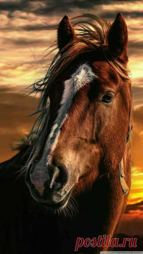 (1) Pinterest