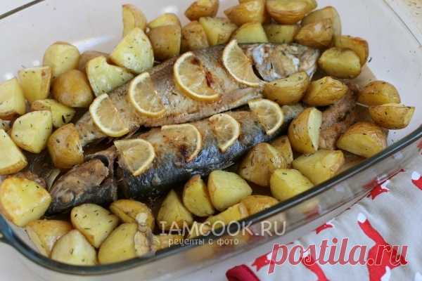 Селёдка с картошкой в духовке — рецепт с фото пошагово. Как запечь сельдь с картофелем в духовке?