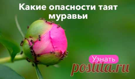 Почта Mail.ru