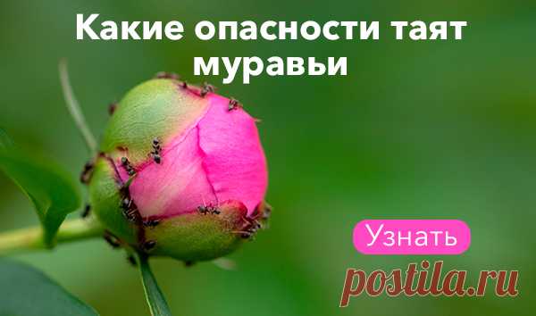 Почта Mail.ru