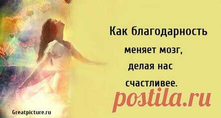 Как благодарность меняет мозг, делая нас счастливее.