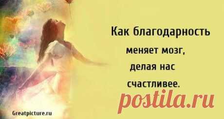 Как благодарность меняет мозг, делая нас счастливее.