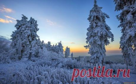 КРАСОТЫ ПРИРОДЫ