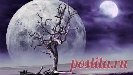 Мир сновидений. Тайная прогулка души — куда мы отправляемся, когда ложимся спать
Мир сновидений волшебный и загадочный. Действительно ли сны – лишь плоды человеческого подсознания, периферийные процессы обработки той информации, которую человек смог получить за день? Именно …
Читай дальше на сайте. Жми подробнее ➡