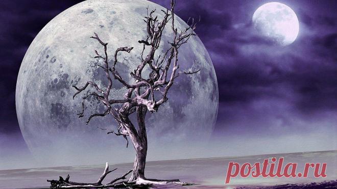 Мир сновидений. Тайная прогулка души — куда мы отправляемся, когда ложимся спать
Мир сновидений волшебный и загадочный. Действительно ли сны – лишь плоды человеческого подсознания, периферийные процессы обработки той информации, которую человек смог получить за день? Именно …
Читай дальше на сайте. Жми подробнее ➡