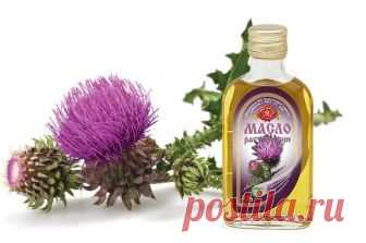 Лечебные свойства масла расторопши Лечебные свойства масла расторопши

Масло расторопши относится к рядам натуральных средств, имеющих широкий спектр лечебного и профилактического действия. Масло расторопши - это одновременно диетическ…