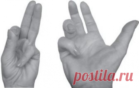 Мудры, помогающие наладить личную жизнь и привлечь нужных людей. Мудры. Все в одной книге. Исполни любое желание