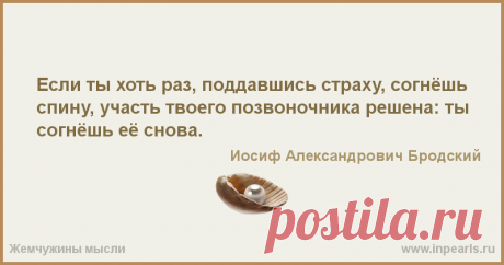 763860.png (800×420)