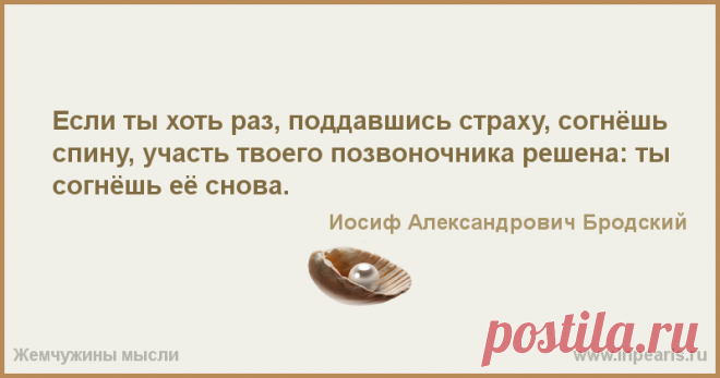 763860.png (800×420)
