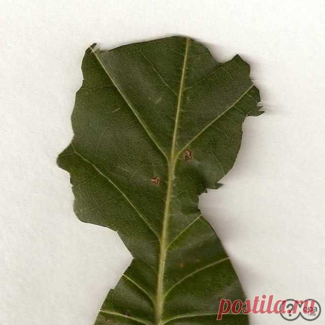 Талантливый человек талантлив во всем.  И может превратить в искусство все, что угодно. Даже то, что, на первый взгляд, вовсе для этого не предназначено. Например, такой хрупкий материал, как древесная листва. ...